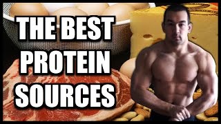 Best Muscle Building Protein Sources For Bodybuilding
