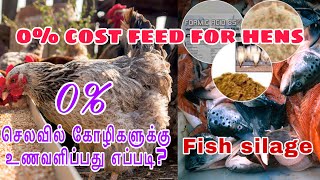 கோழிகளுக்கான தீவன செலவை குறைப்பது எப்படி| HOW TO REDUCE CHICKENS FEED COST| INFOTECH MEDIA TAMIL