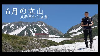 6月の立山   天狗平から室堂(立山黒部アルペンルート　４K映像　ZV-E1) cinematic