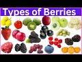 List of all Berries ll Learn All Berry Names in English with Pictures