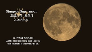 Sturgeon Supermoon (2023/08/01) 4K