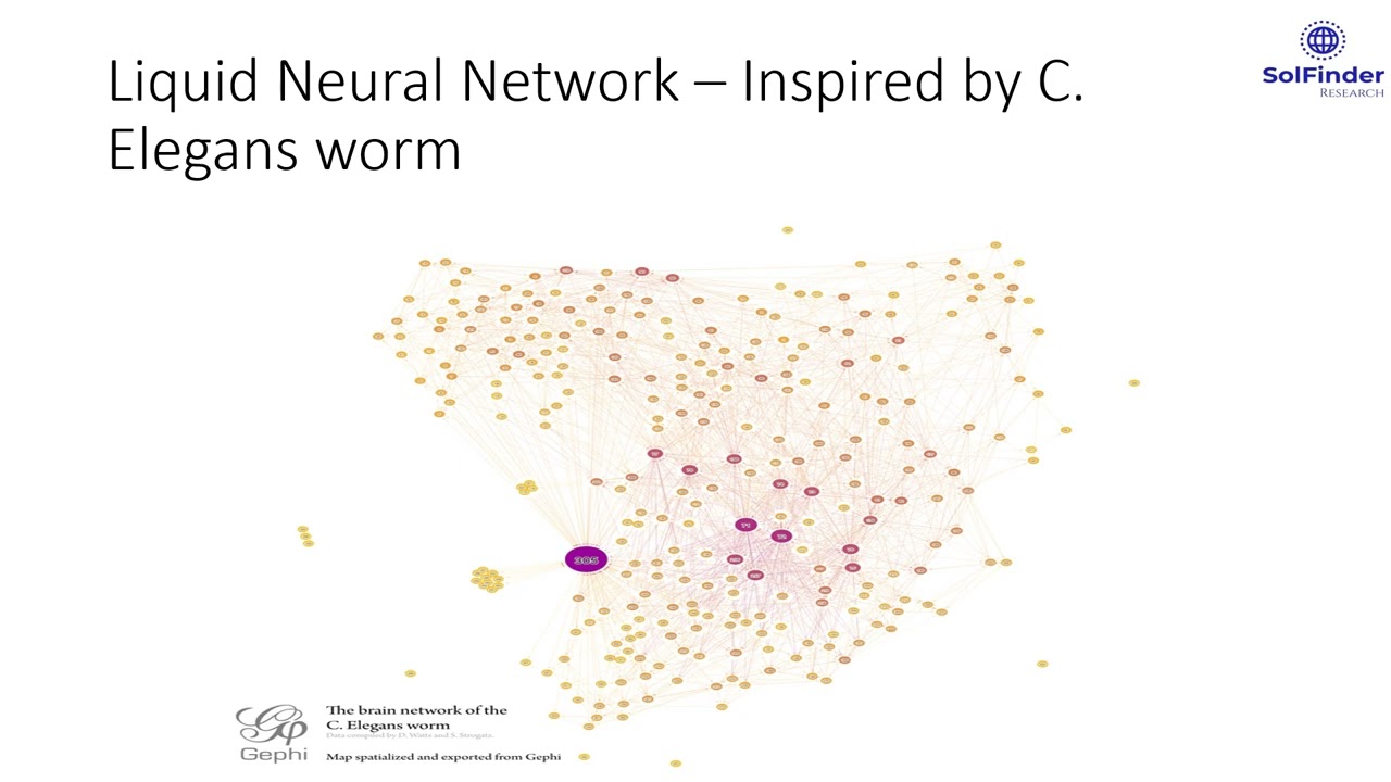 Liquid Neural Network - YouTube