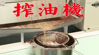 牛人發明榨煉一體化榨油機，1小時可加工550公斤油，1月賣出600台【發明迷】