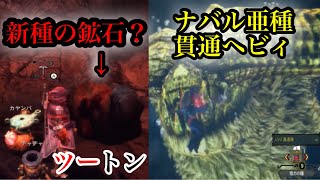 見たことない新種の鉱石発見⁉ナバル亜種貫通へビィ【MH3G】