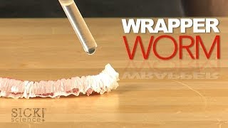 Wrapper Worm - Sick Science! #175