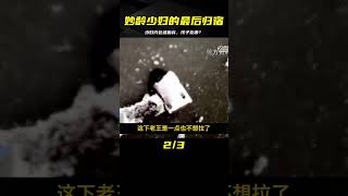 妙齡少婦帶著孩子約會男網友，行李箱卻成了她的最終歸宿 #名偵探柯驢 #案件 #探案 #懸案 #懸疑