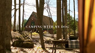 [4K] 비오는 텐트 밖은 감성 🏕 | 첫 우중캠핑 뭐하지 | CAMPING with My Dog | 감성캠핑 | 캠핑 | KOA캠핑장 | Snow Peak Entry 2 Room