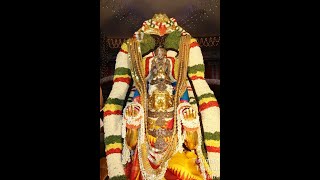 Three garuda sevai poovirudhavalli sri Thirukachinambigal koil .kodi punniam Perumal tharisanam