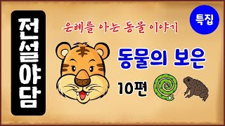 [동물 특집 1] 은혜를 아는 동물 이야기 : 동물의 보은 10편 모음 [몰아보기] 중간광고없음 [수면용] 옛날이야기 - 화요일 [만물유래][전설야담]