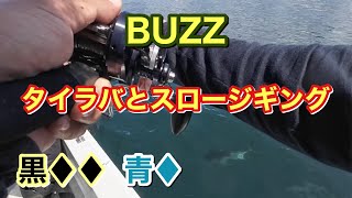 石川県 宇出津【内浦】BUZZでタイラバとスロージギング