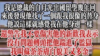 我是總裁的白月光，出國留學幾年回來後發現他找了一個跟我很像的替身。他說這樣就感覺我在他身邊一樣。還警告我不要傷害他的新歡。我表示沒有問題。轉頭把他踹進了監獄。【江慕瑤】