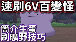 Pokemon 劍盾 6V百變怪 速刷入手過程(需聯網) 刷5星曠野 | 極巨百變怪 | 通關後生蛋必備 | 生蛋練寵懶人包 (打開CC字幕)