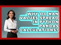 Why Do NaN Values Spread In Python Pandas Calculations? - Python Code School