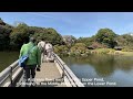 shinjuku gyoen national garden cherry blossom viewing march tokyo in 12 months