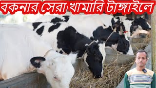 ৫০ হাজারে বকনার সেরা খামার টাঙ্গাইলে I বকনা কিনে গাভী তৈরি করে বিক্রি করেন লাভও বেশি I বকনা কিনুন