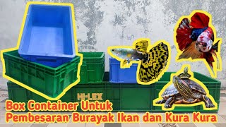 Box Container Pembesaran Burayak Ikan Cupang, Ikan Guppy dan Kura Kura #pets #pet #animals #box