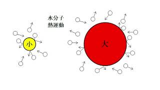 ブラウン運動