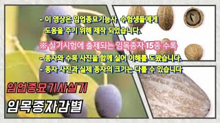 임업종묘기능사 임목종자감별 15종 영상