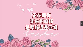 正在朝你走来的感情是孽缘还是正缘？#塔罗测试 #塔罗 #情感塔罗 #塔罗牌 #恋爱