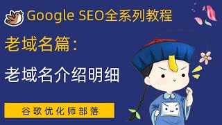 8- 老域名篇：老域名介绍明细【谷歌SEO零基础系列教程】