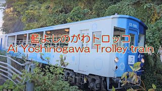 藍よしのがわトロッコ　 Ai Yoshinogawa Trolley train　徳島線　祝3周年！【4K UHD 60 fps】