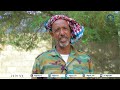 demobilized irob fighters remain unable to return home due to the presence of eritrean forces