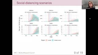 Tracking the COVID-19 pandemic in real time