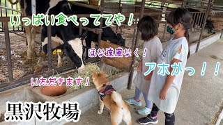 【ドッグラン　黒沢牧場】和歌山県にある牧場に行って、とりあえず全力で遊ぶあずきファミリーの一日密着！　浪速の柴犬　shibainu