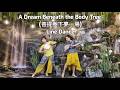 A Dream Beneath the Body Tree (菩提樹下夢一場) | Line Dance | Yanty Astari