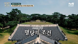 풍수지리가 조선 왕릉에 끼치는 영향! 조선왕릉 명당의 조건 #highlight #벌거벗은한국사 EP.132