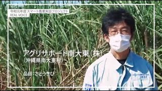 【スマート農業 REAL VOICE】アグリサポート南大東（株）（沖縄県南大東村）