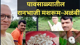 कोकणातील पावसाळी रानभाजी मशरूम (अळंबी) ☺️ | finding natural mushroom #marathi_vlog