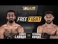 FREE FIGHT | Ahmed Labban vs Nemanja Kovač | BRAVE CF 48