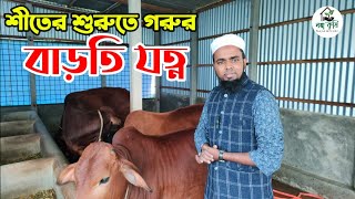 শীতের শুরুতে গরুর বাড়তি যত্ন | Naya Krishi