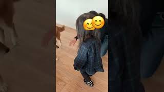 子供が苦手な犬 VS 犬触りたい娘