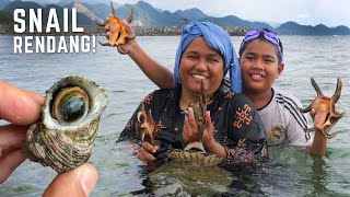 Sea Snail Rendang! Catch & Cook in Indonesia 🇮🇩