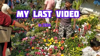 V532 মনটা খুশিতে ভরে যাবে অসম্ভব সুন্দর Orchid আর শীতের একরাশ গাছ দেখে Galiff Street Plant Market