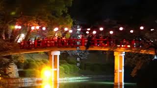 愛知県にある岡崎城のさくらまつり動画