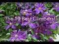 The 10 Best Climbers