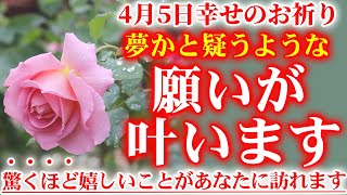 幸せを呼ぶ大自然の花たちを撮影しました。4月5日の朝の浄化祈願