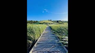 Serene Stroll Through Coyote Hills | Nature Walk by Flowing Water