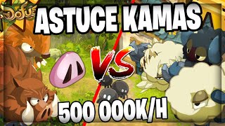 ASTUCES KAMAS NON ABO ! ZONE BOUF VS ZONE FORET ASTRUB ! 500 000 K/H