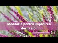 🧘 meditatie pentru implinirea dorintelor 🌺