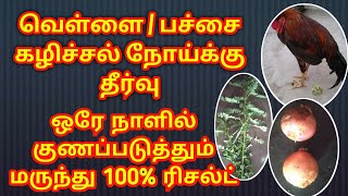 Kozhi pachai kazhical treatment #கோழி பச்சை கழிச்சல் மருந்து