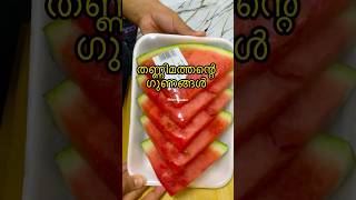 തണ്ണിമത്തൻ കഴിച്ചാലുള്ള ഗുണങ്ങൾ 😋👍#trending #watermelon #benifits #helthtips #healthy