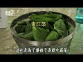 【生活地球村】 自家屋頂的小菜園 20221127