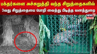 பக்தர்களை அச்சுறுத்தி வந்த சிறுத்தைகளில் 3வது சிறுத்தையை பொறி வைத்து பிடித்த வனத்துறை | Tirupati