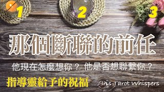 🔮塔羅占卜🔮斷聯的前任｜現在怎麼想你｜他是否想要重新聯繫你｜指導靈給予的祝福｜分手｜離婚｜無時間限制