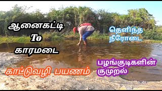 ஆனைகட்டி To காரமடை || Anaikatti to karamadai forest road || solo ride