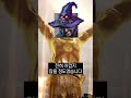 시즌3 롤판을 충격에 빠뜨렸던 희대의 템트리 ap 마검사 트린다미어 shorts shorts